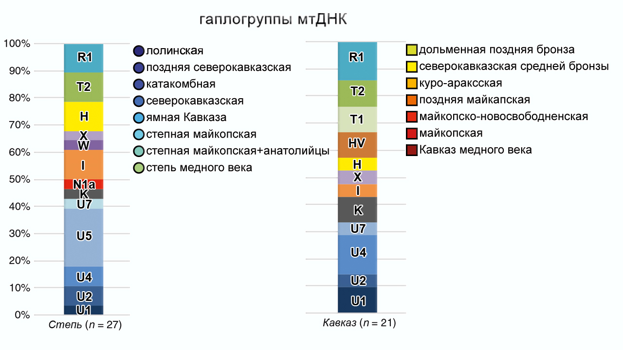 Генетическая история Кавказа (медный и бронзовый века) - Моё, Наука, Палеогенетика, История Кавказа, Кавказ, Видео, Инфографика, Бронзовый век, Длиннопост, Археология, ДНК