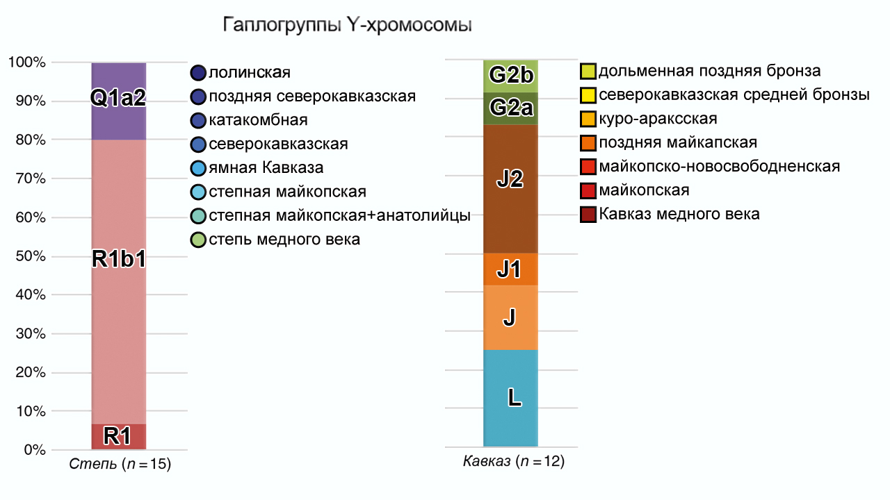 Генетическая история Кавказа (медный и бронзовый века) - Моё, Наука, Палеогенетика, История Кавказа, Кавказ, Видео, Инфографика, Бронзовый век, Длиннопост, Археология, ДНК