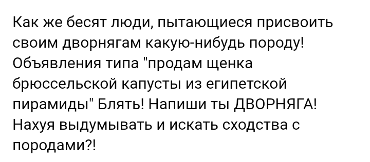 Как- то так 327... - Исследователи форумов, Подборка, ВКонтакте, Как-То так, Чушь, Staruxa111, Длиннопост