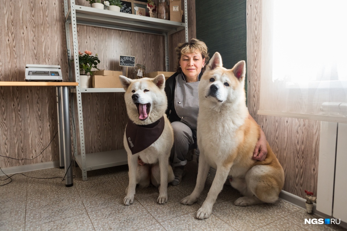 Business on the bones: Siberian built the production of sweets for animals - Akita inu, Dog, Siberia, Novosibirsk, Business, Yummy, Entrepreneurship, Longpost