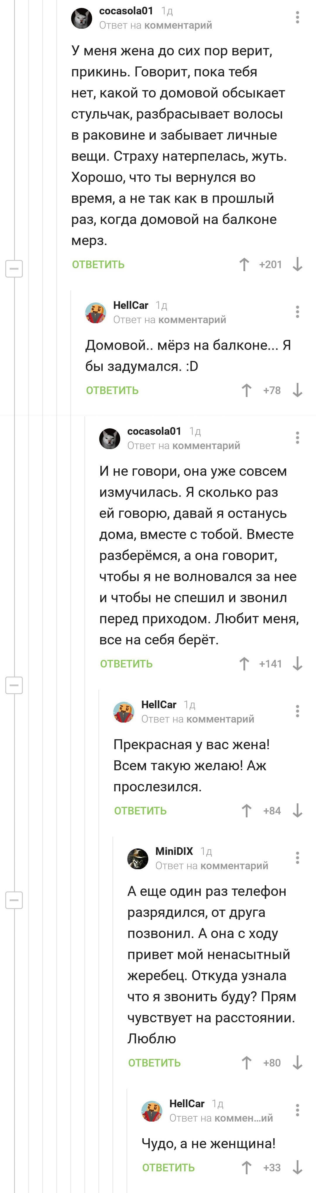 Когда жена верит в домового - Жена, Домовой, Длиннопост, Комментарии на Пикабу, Скриншот