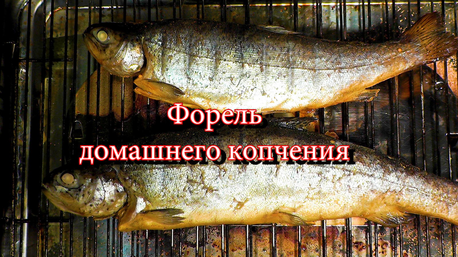 Форель домашнего копчения | Пикабу