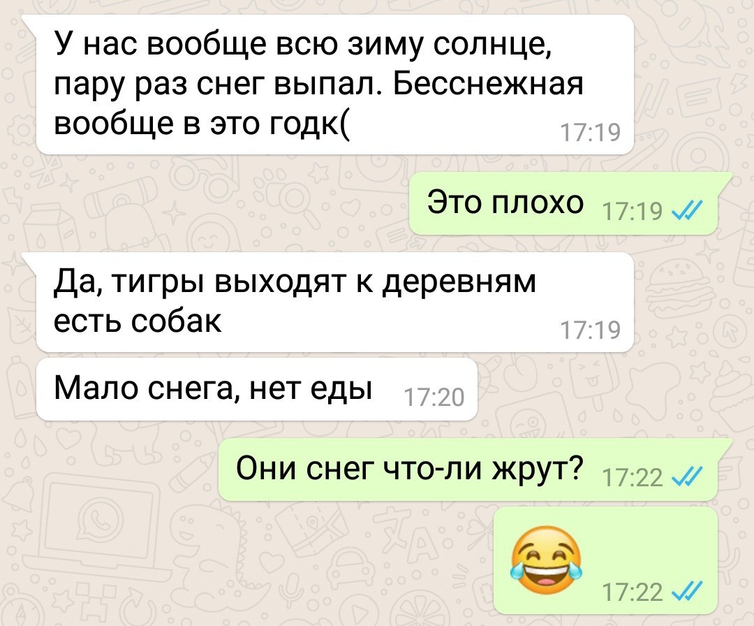 Что едят тигры? - Моё, Переписка, Whatsapp, Тигр