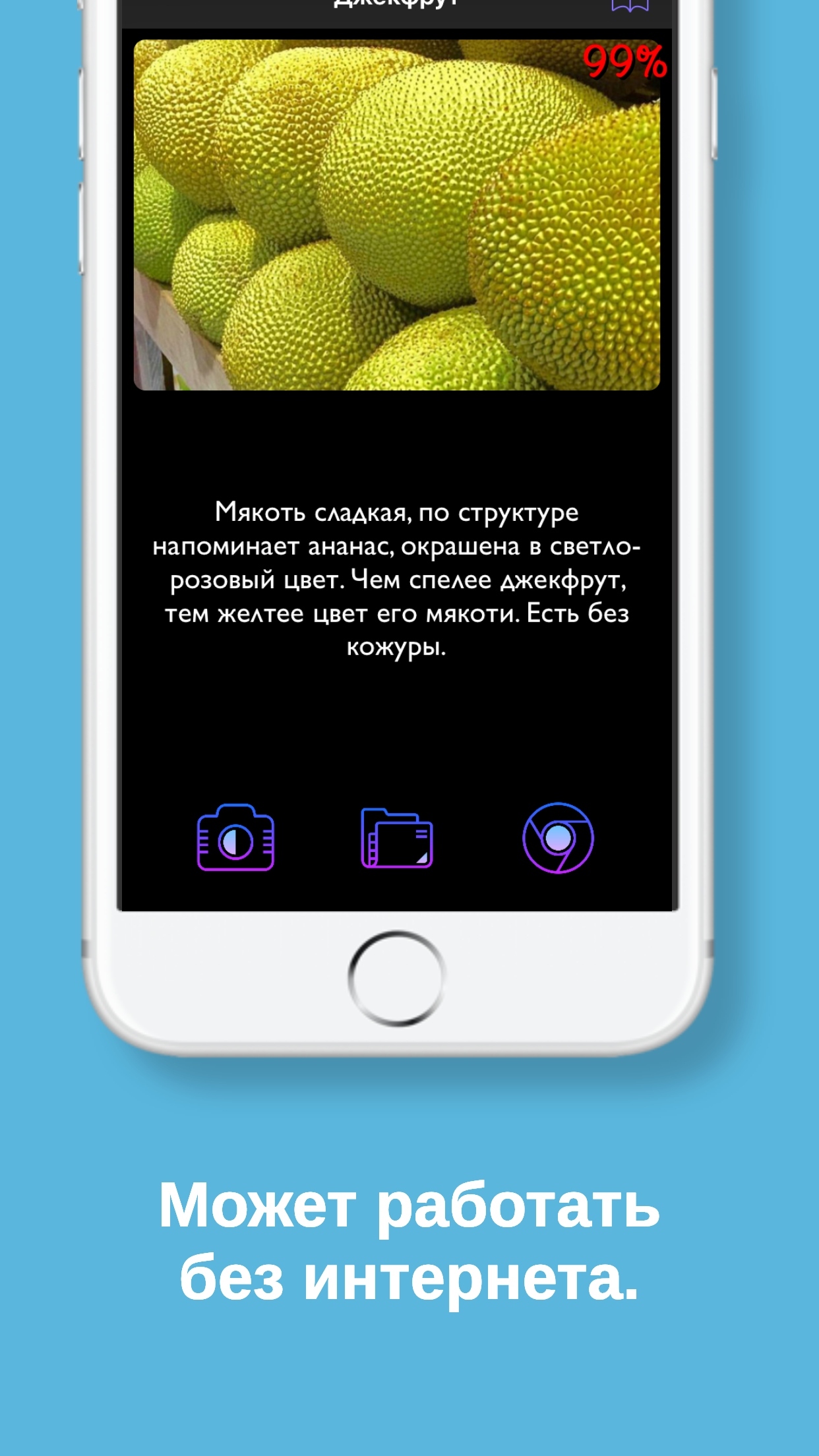 Fruits Travel - Распознаватель фруктов | Пикабу