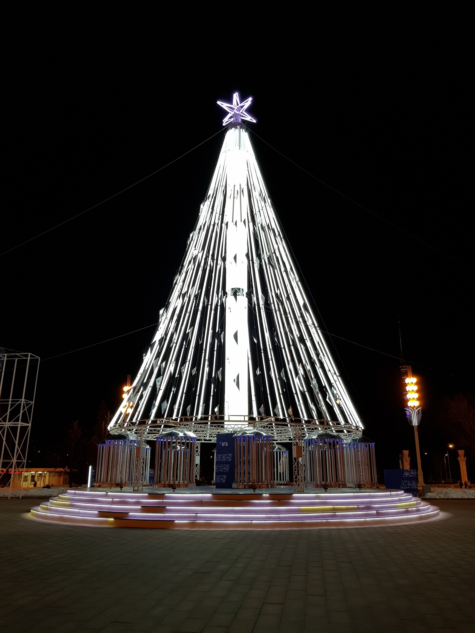 just a photo) - My, VDNKh, Christmas tree, The photo, Photographer, Beginning photographer, What's this?