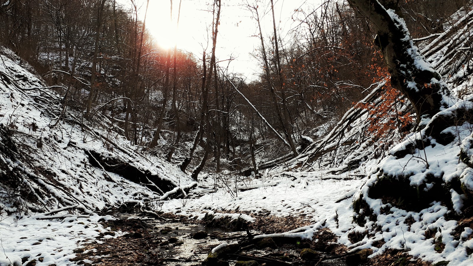 Second attempt to start - My, Beginning photographer, The photo, The mountains, Forest