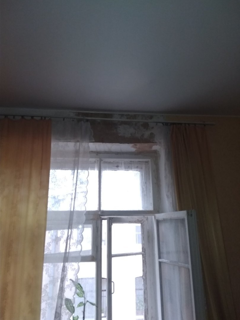 Inaction and negligence of the services of St. Petersburg - My, Leakage, Saint Petersburg, Hopelessness, Longpost, Housing and communal services, Negative