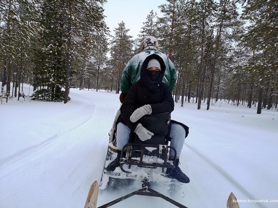 YUGRA. Khanty camp of the Kazamkin family. Reindeer stroganina, lingonberries, sled rides and... - My, Khanty, KhMAO, Reindeer, Stroganina, Camp, The photo, Ugra, Video, Longpost