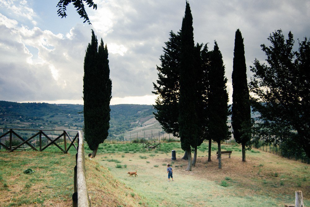 Umbria. - My, Italy, Umbria, Orvieto, Wine, Longpost