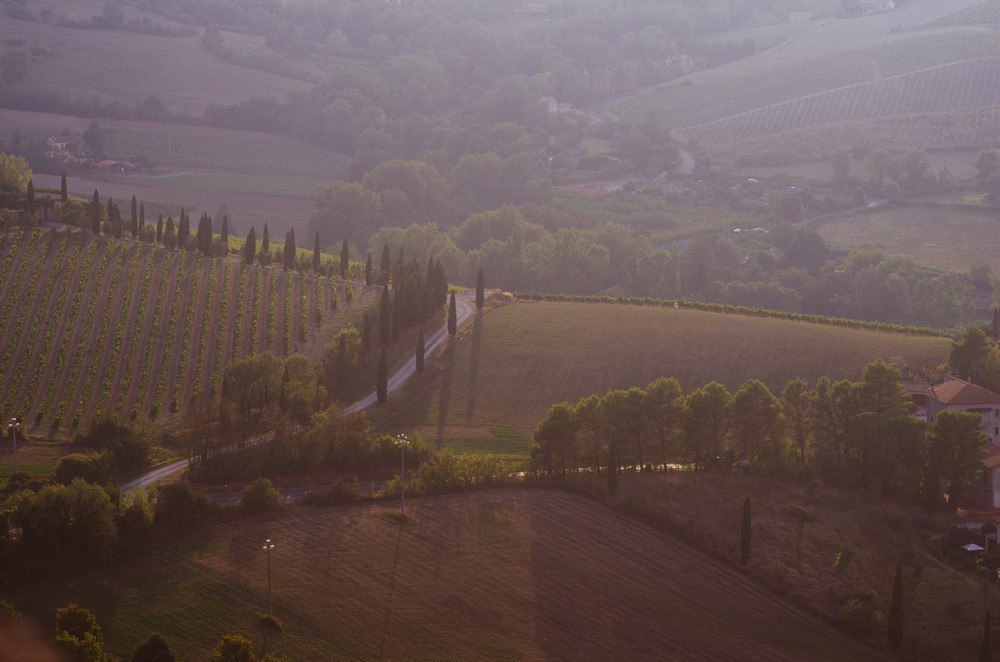 Umbria. - My, Italy, Umbria, Orvieto, Wine, Longpost