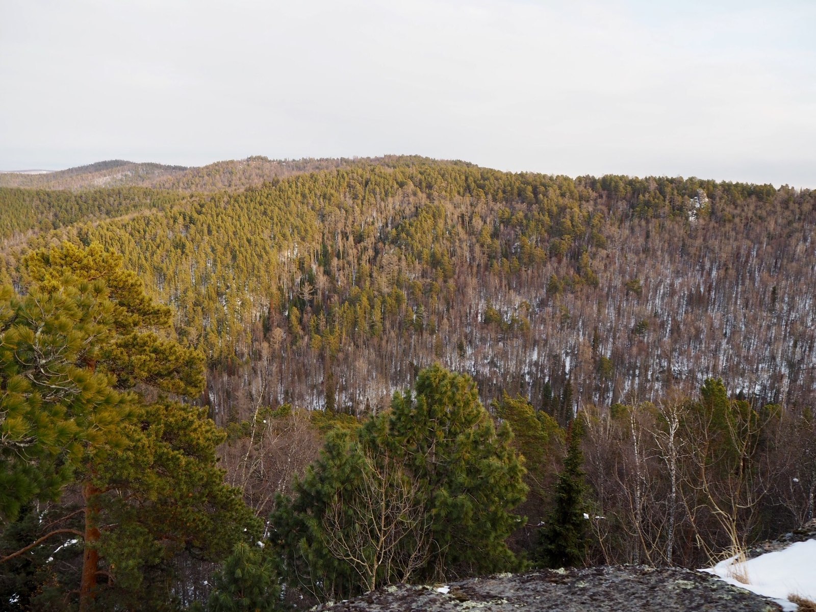 Sunday walk to Stolby. Feathers, taiga and rock bonsai (?). - My, The photo, Krasnoyarsk pillars, Nature, Taiga, The rocks, Feathers, Longpost