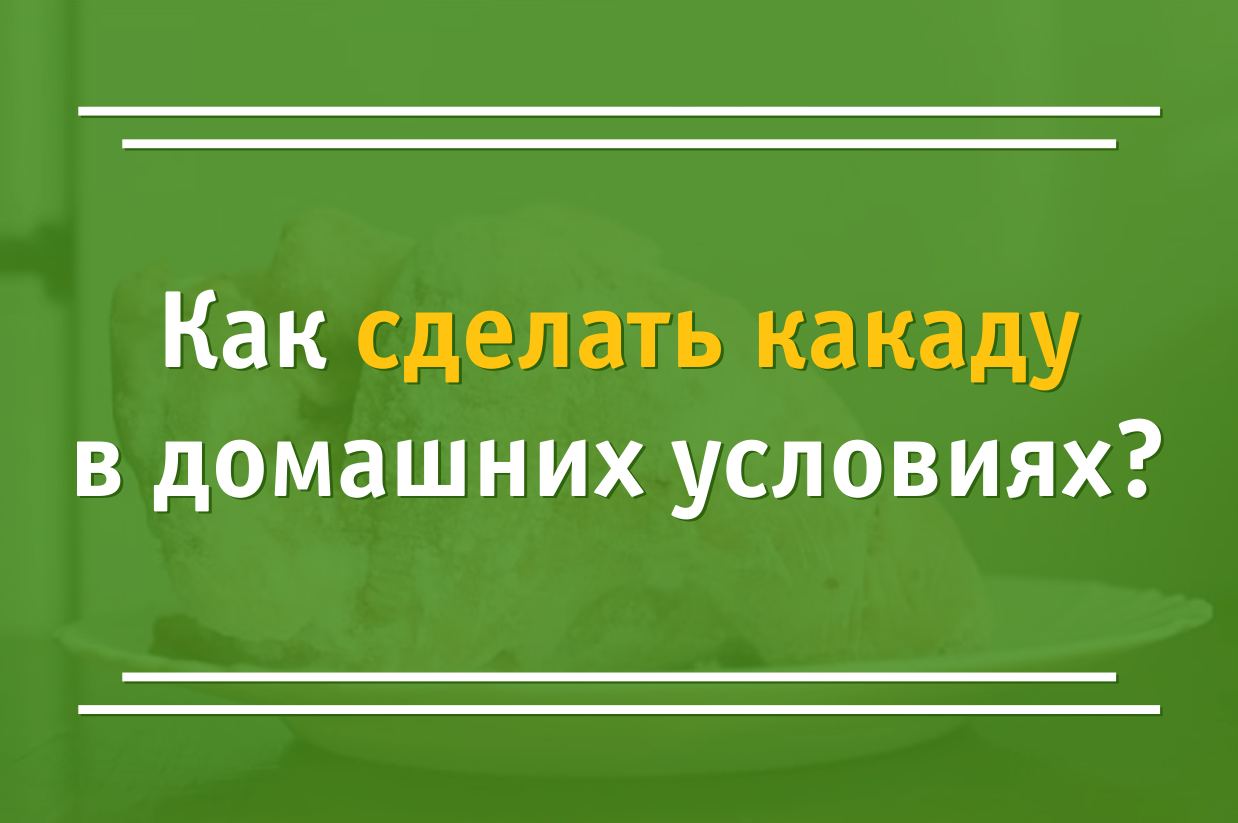 Инструкция для тех, у кого нет лишних 100 000 рублей на какаду: - Моё, Животные, Попугай, Юмор, Длиннопост