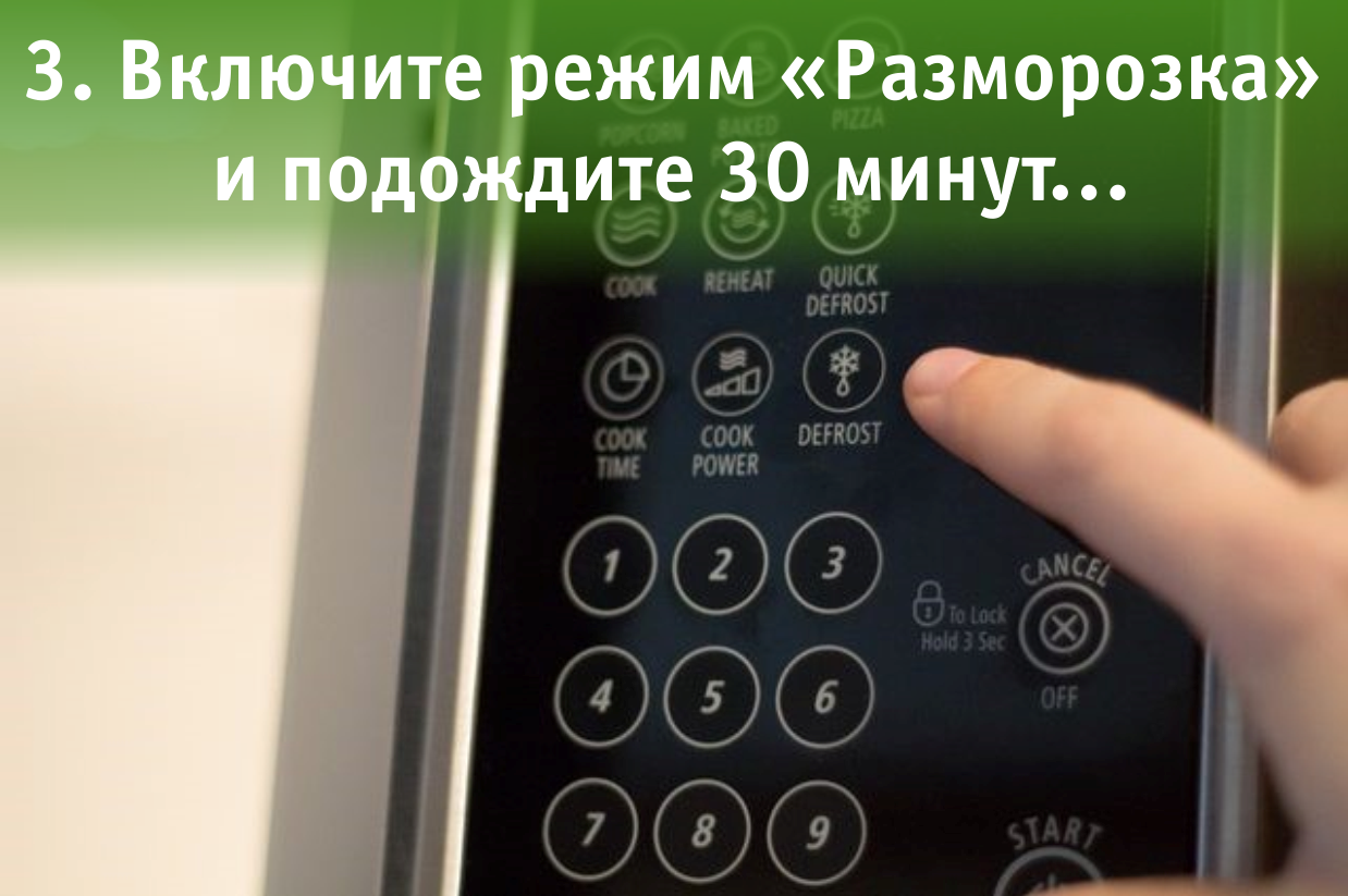 Инструкция для тех, у кого нет лишних 100 000 рублей на какаду: - Моё, Животные, Попугай, Юмор, Длиннопост