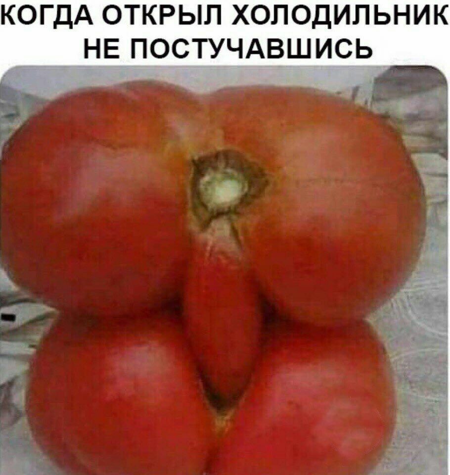 tomatos - , Humor