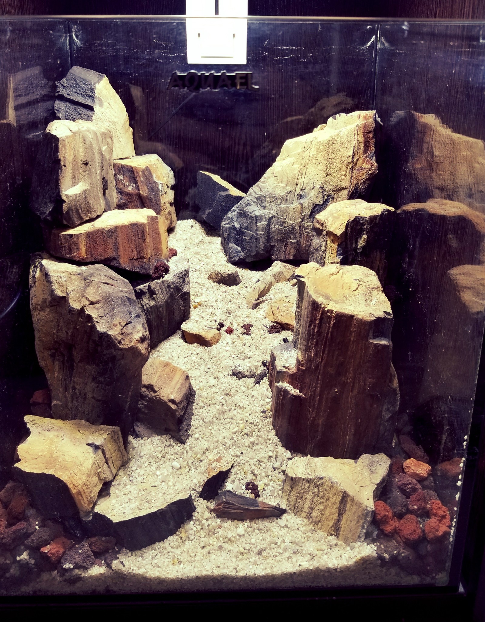 Mini-aquarium Mountain Gorge - My, Aquarium, Aquarium, The mountains, Creation, Longpost