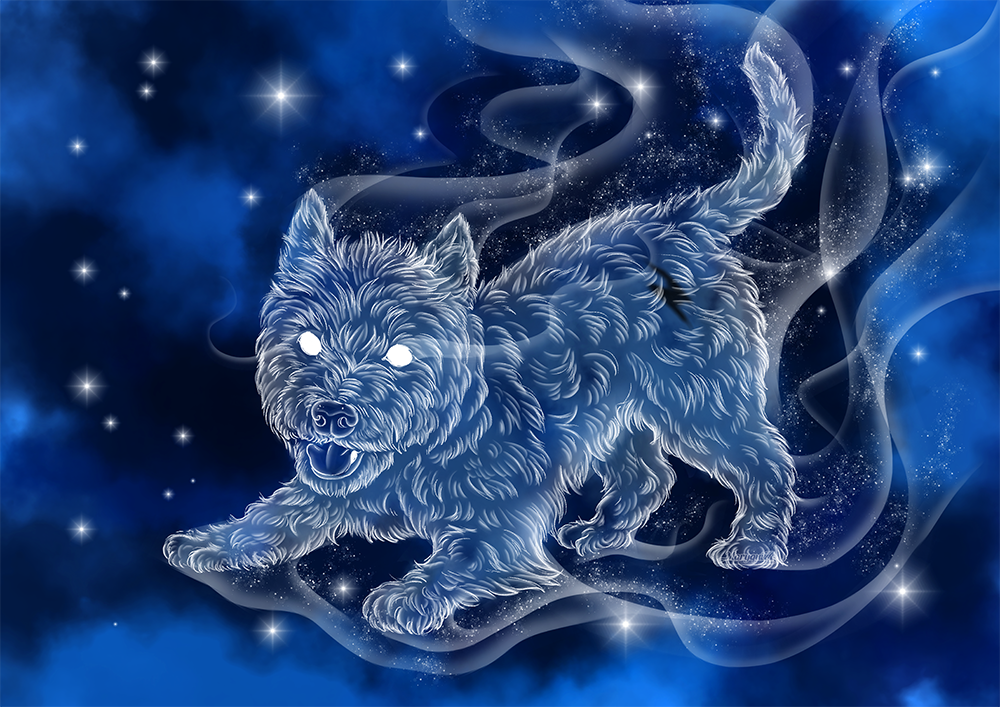 Expecto patronum! part 3. Dogs - My, Harry Potter, Fan art, Digital drawing, Magic, Portrait, Dog, Longpost