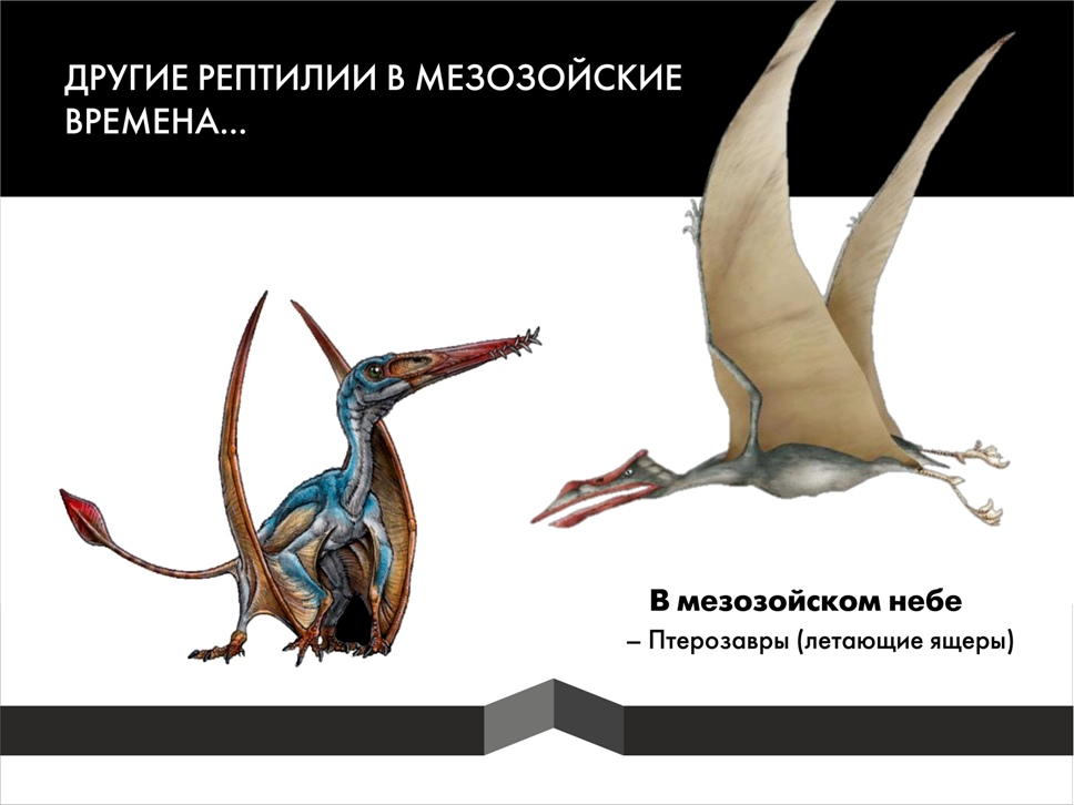 Paleontological Beasts and Where to Find Them: The Myths of the Omnipresent Dinosaurs. Part 1 - My, Paleontology, Dinosaurs, Pavel Skuchas, Anthropogenesis ru, Scientists against myths, Video, GIF, Longpost