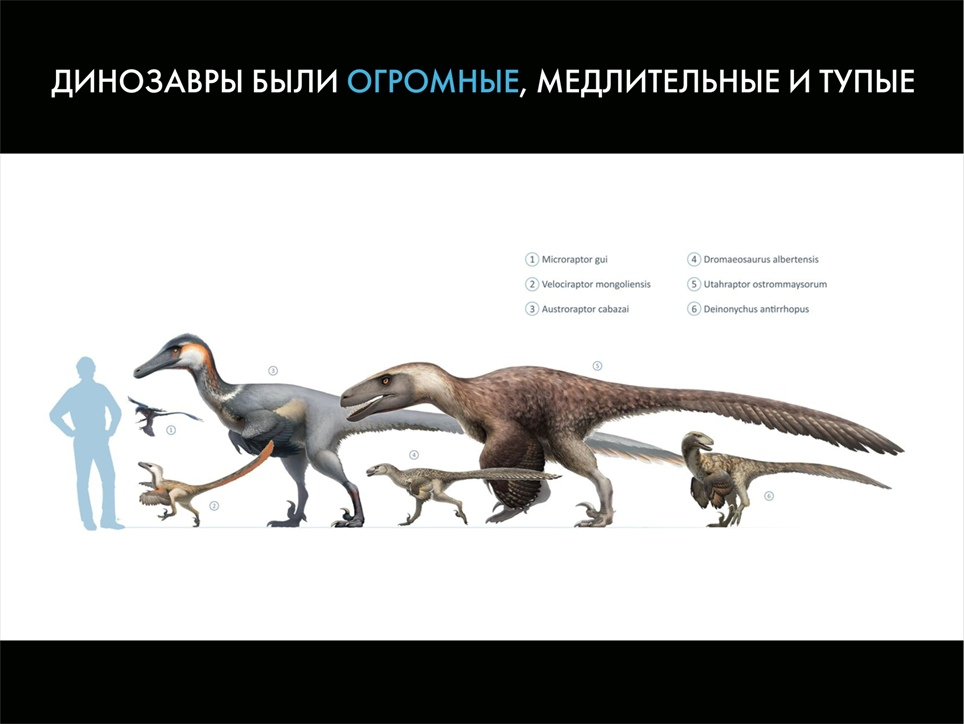 Paleontological Beasts and Where to Find Them: The Myths of the Omnipresent Dinosaurs. Part 1 - My, Paleontology, Dinosaurs, Pavel Skuchas, Anthropogenesis ru, Scientists against myths, Video, GIF, Longpost