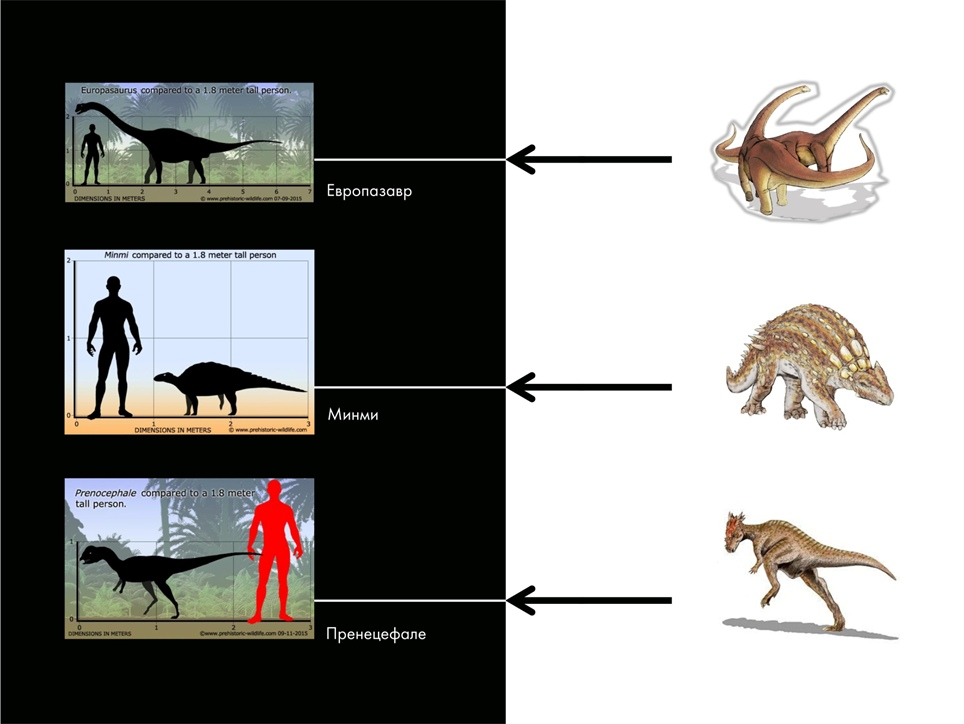 Paleontological Beasts and Where to Find Them: The Myths of the Omnipresent Dinosaurs. Part 1 - My, Paleontology, Dinosaurs, Pavel Skuchas, Anthropogenesis ru, Scientists against myths, Video, GIF, Longpost