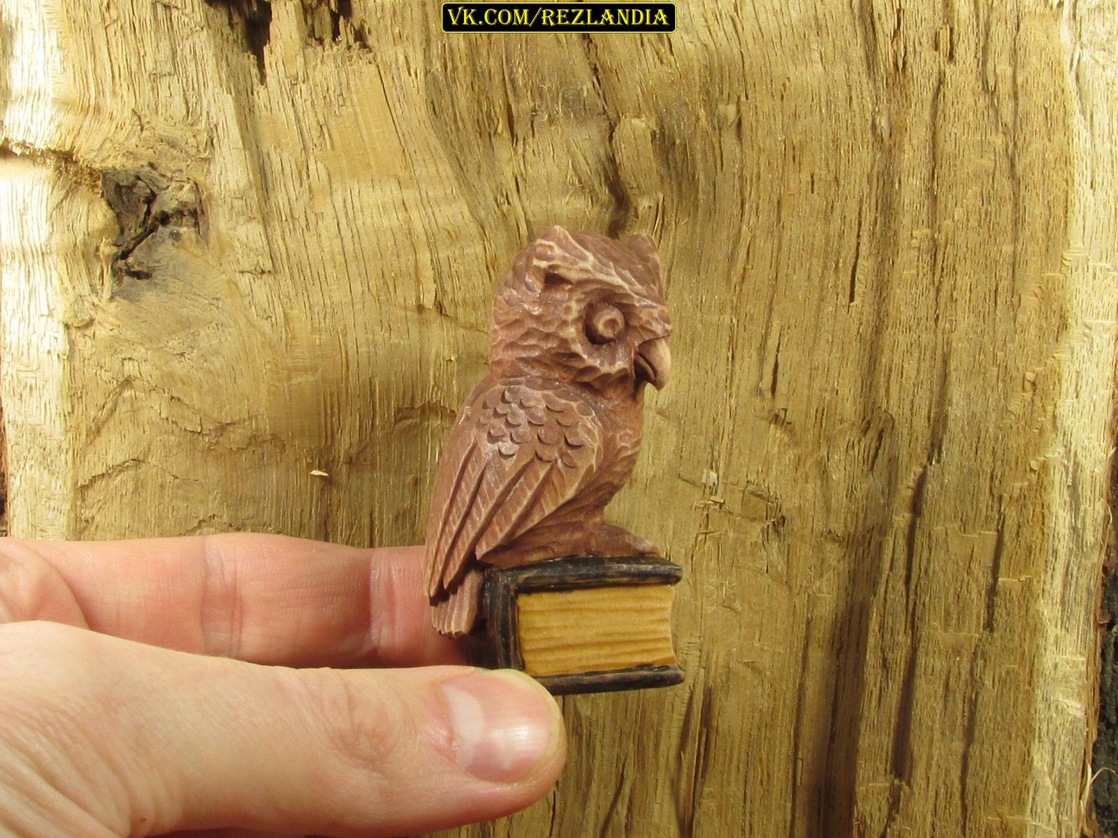 Two incisors - the owl is ready - My, Wood carving, With your own hands, Handmade, Owl, Miniature, Needlework with process, Longpost