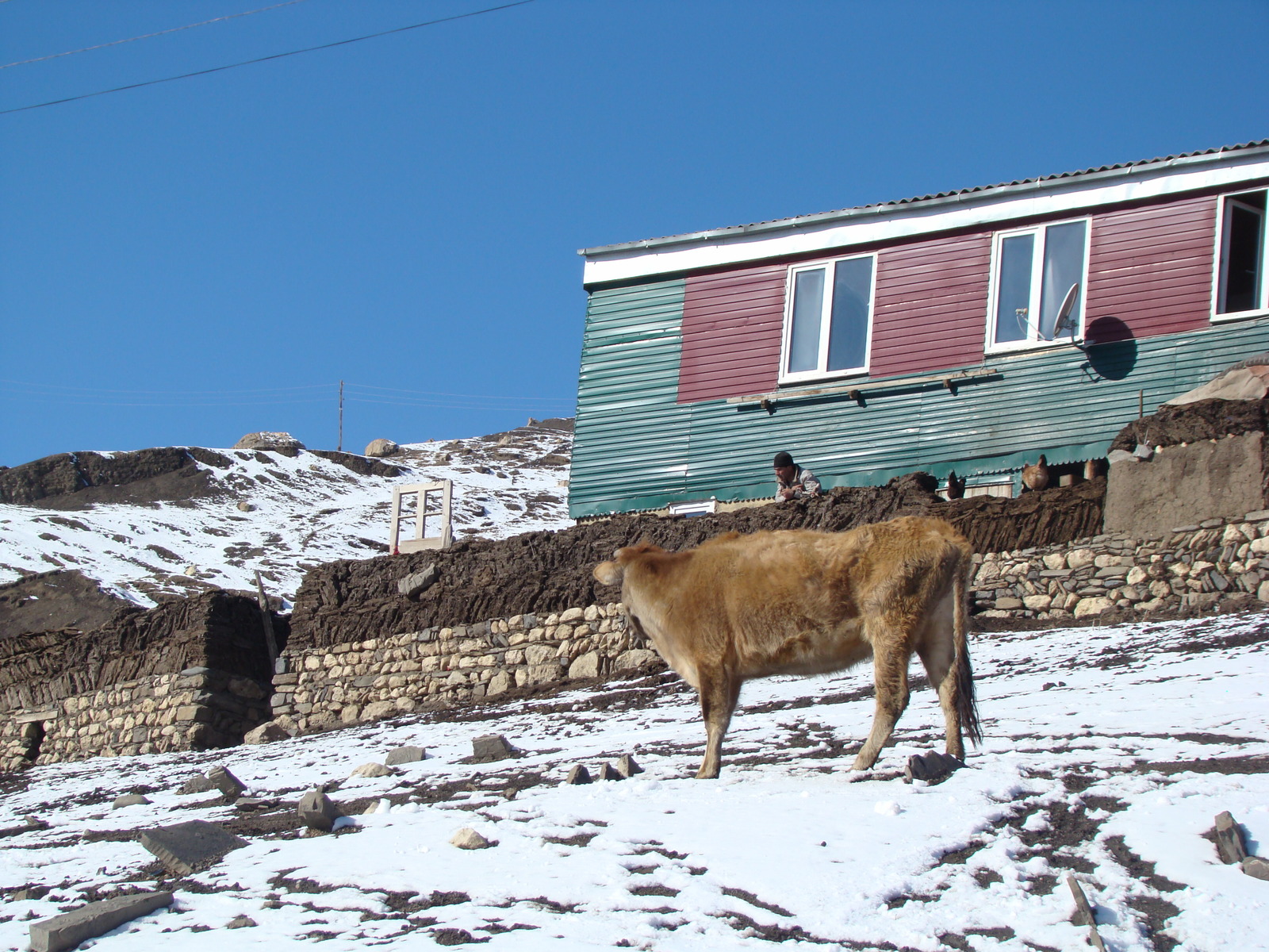 Fuel of the 21st century - My, Dagestan, Fuel, Russia, Longpost