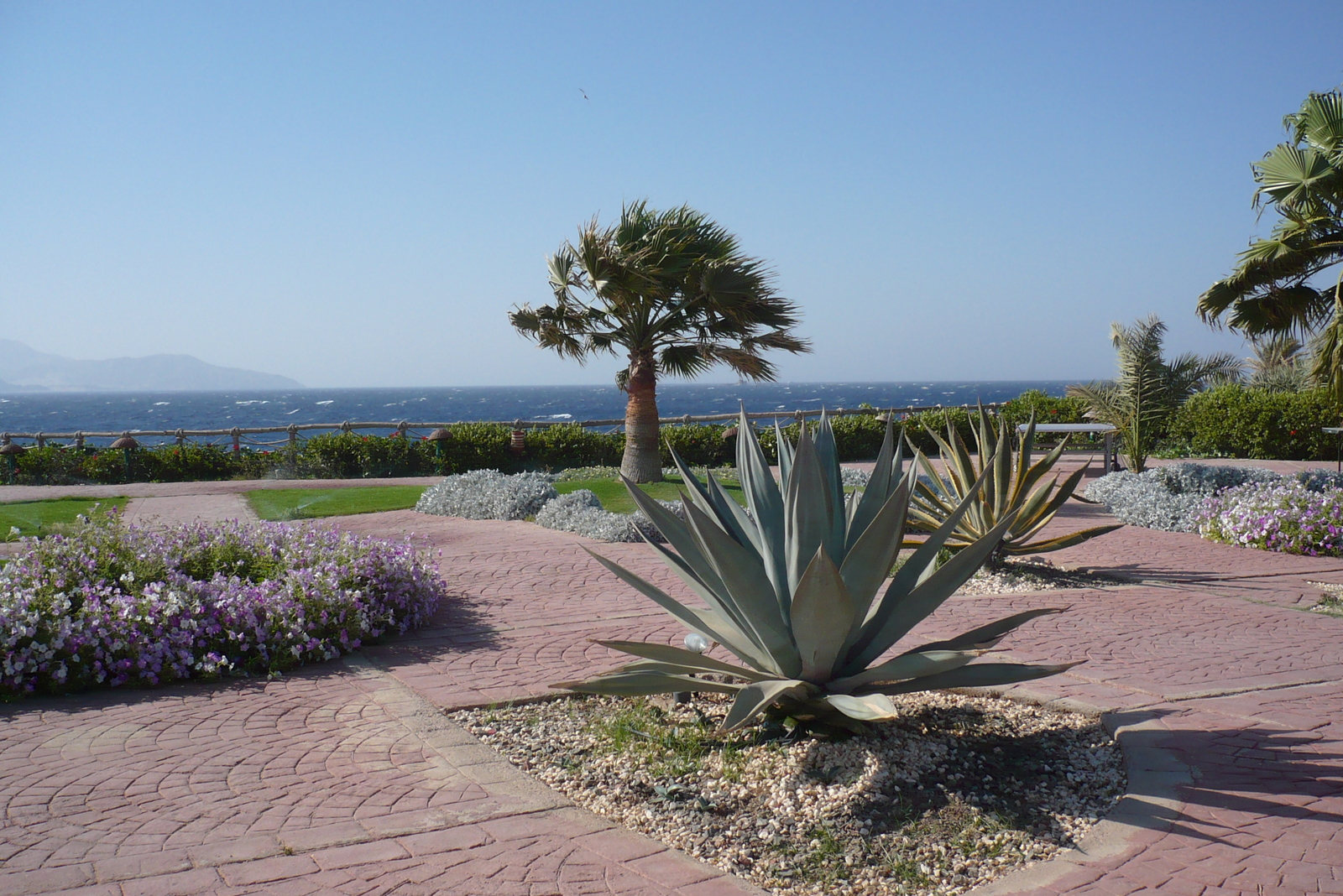 A little bit of sunny-sea Egypt in the tape, because the winter is really sick - My, Sea, Sharm El Sheikh