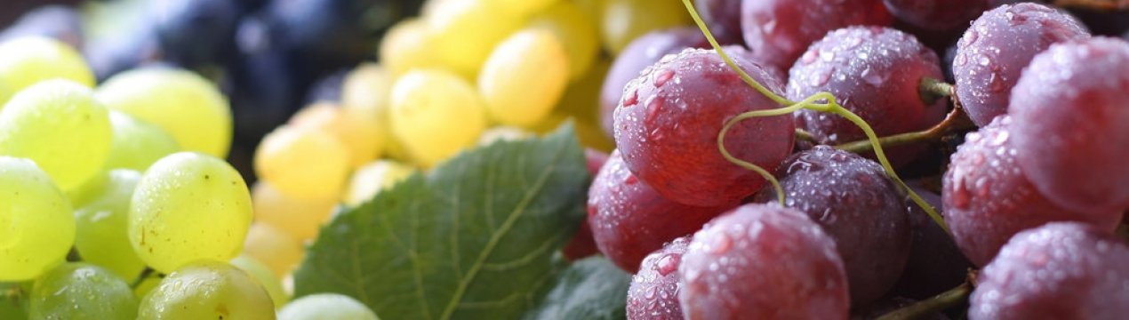 Calorie content of grapes - My, Grape, Vineyard, Calories, , Longpost