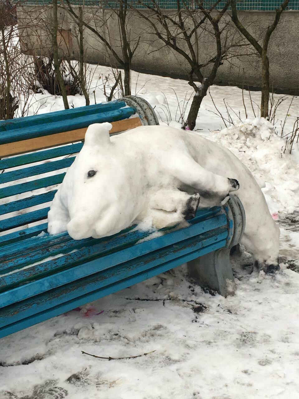 Находка в канун Нового года - Моё, Символ года, Новый Год, Длиннопост, Свинья