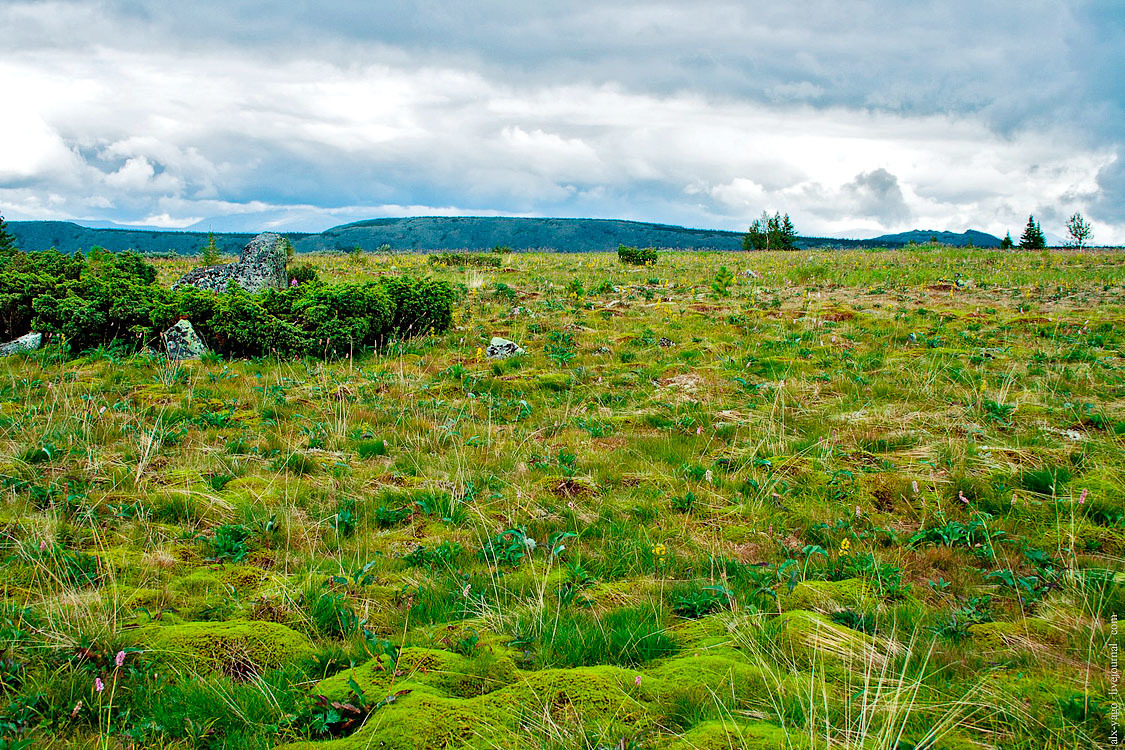 Journey to the Kvarkush Ridge. - My, Travels, The photo, Perm Territory, Kvarkush, Longpost