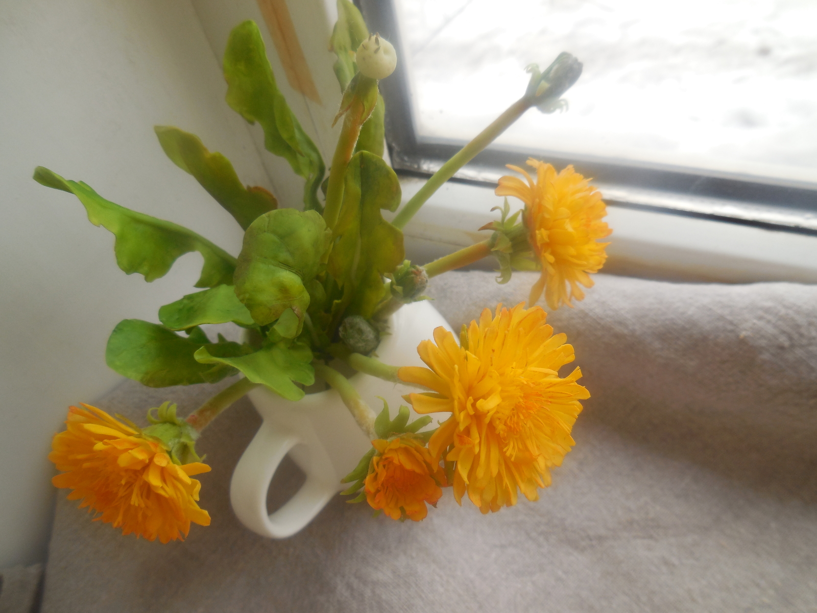 Bouquet of cold porcelain dandelions - My, Polymer floristry, Needlework without process, Flowers, Longpost, Cold porcelain, Dandelion