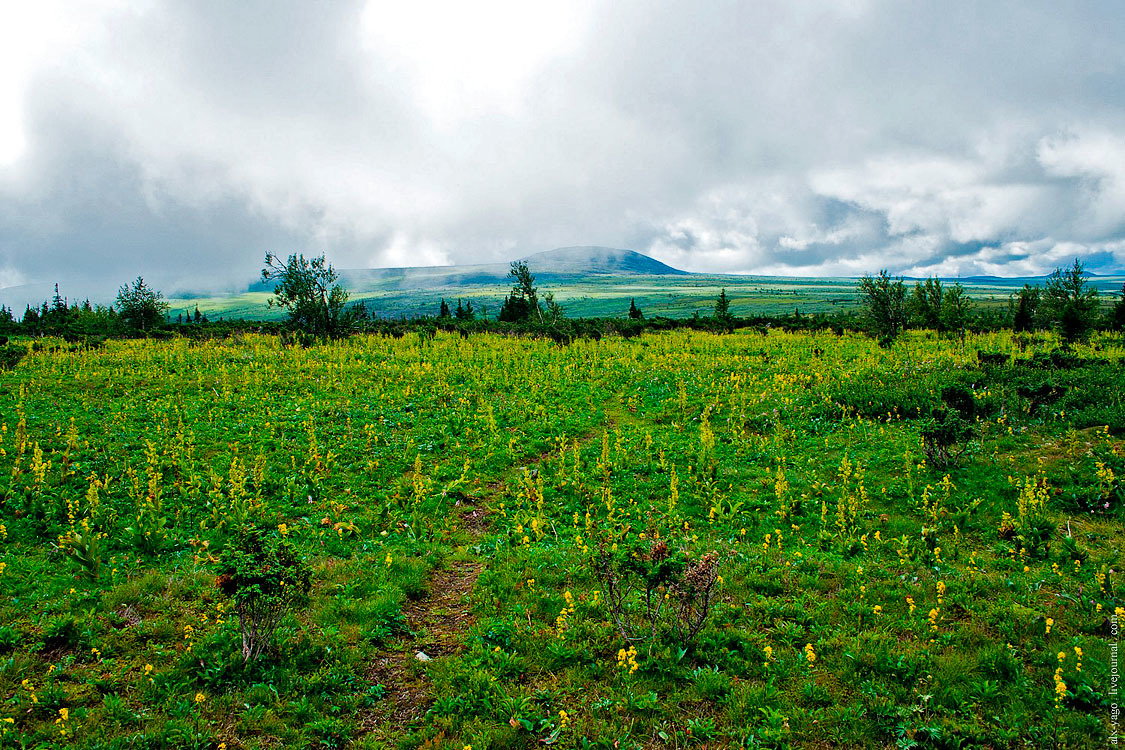 Journey to the Kvarkush Ridge. - My, Travels, The photo, Perm Territory, Kvarkush, Longpost