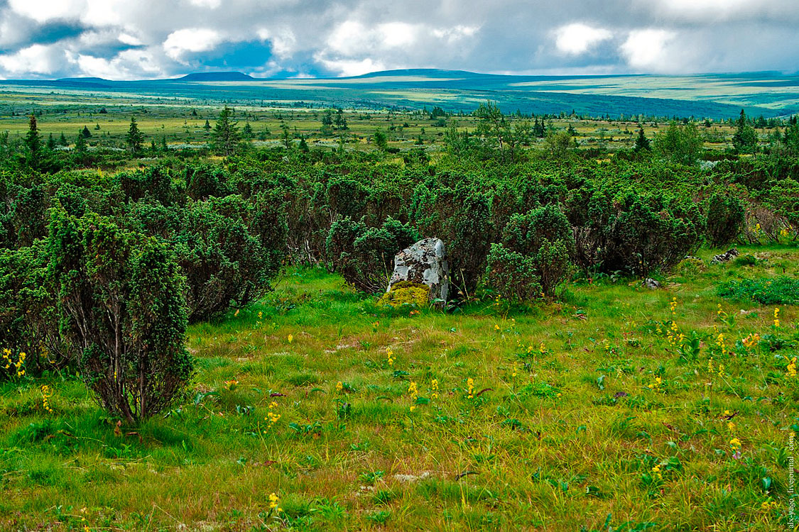 Journey to the Kvarkush Ridge. - My, Travels, The photo, Perm Territory, Kvarkush, Longpost