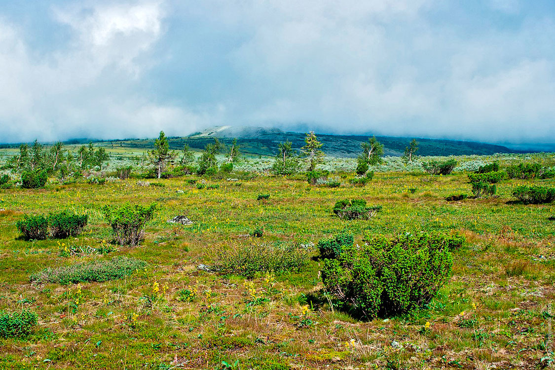 Journey to the Kvarkush Ridge. - My, Travels, The photo, Perm Territory, Kvarkush, Longpost