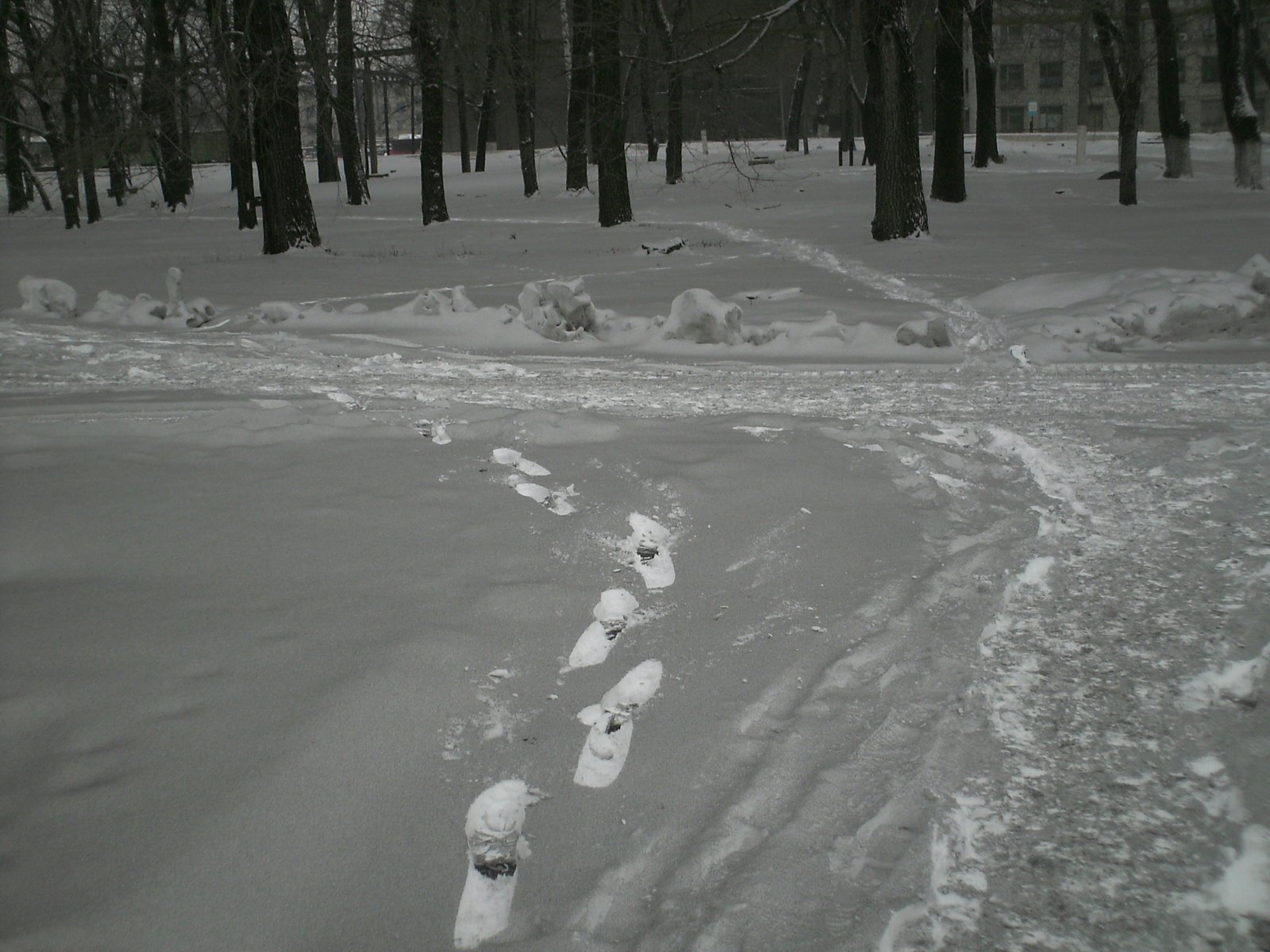 Black Snow - , Kiselyovsk, Ecology, Coal, Precipitation, Catastrophe, Longpost, 