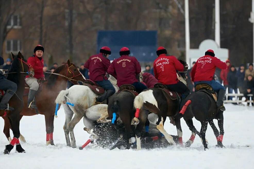 Zhivoderstvo on the main hippodrome of the country. - Pain, Animals, Moscow, Show, Horses, Fear, Money, Cruelty, Longpost