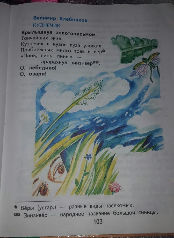 Read with expression.(( - My, Longpost, The photo, Textbook, Khlebnikov, Poems