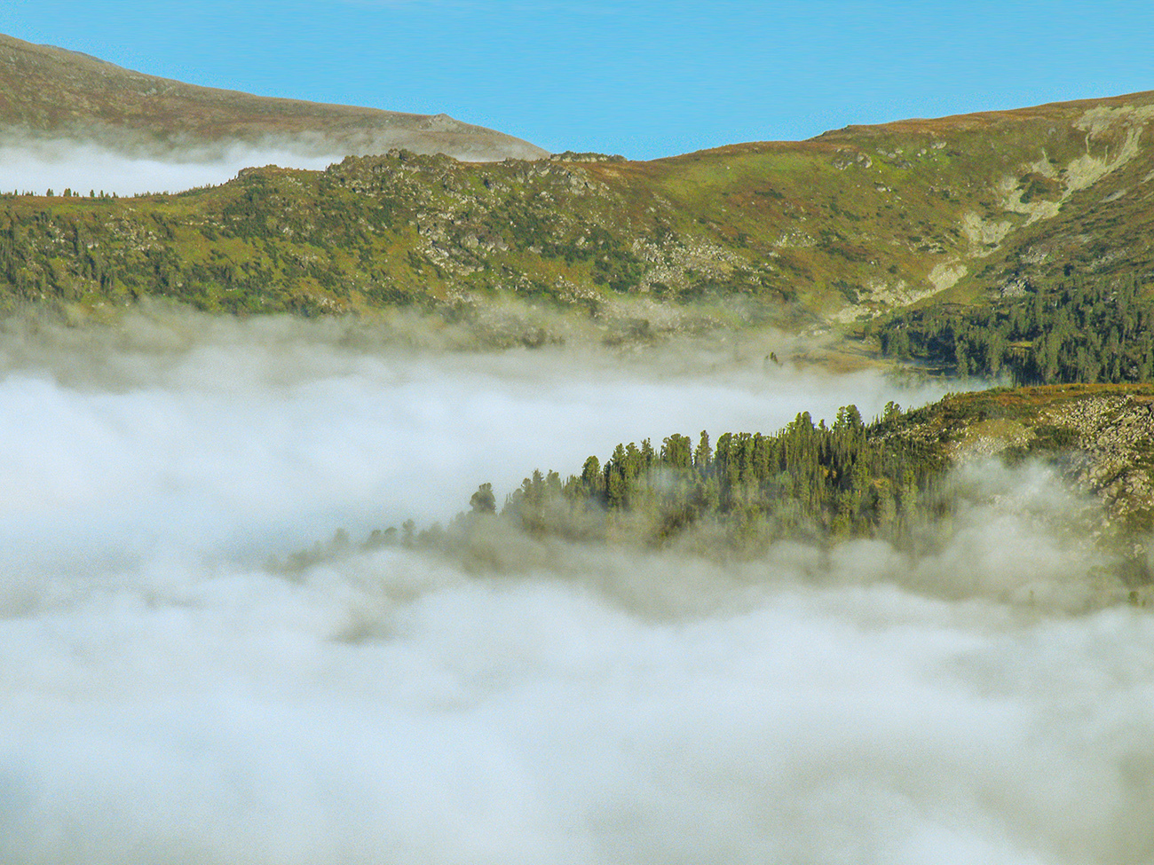 Case in September - My, Ergaki, Travels, Siberia, Landscape, Longpost, Krasnoyarsk region, The photo, Autumn, The mountains