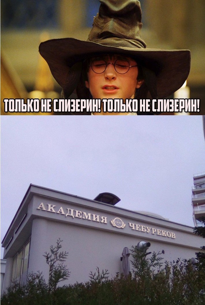 Everyone dreams of a letter from a cheburechnaya - Distribution hat, Cheburek, Academy, Humor, Harry Potter