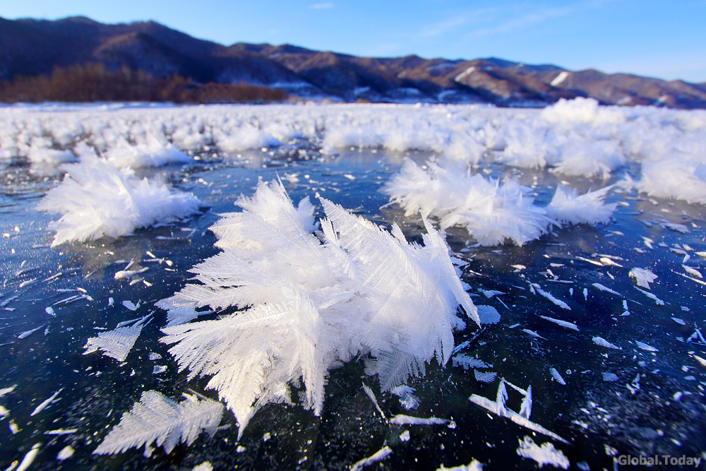 Winter flowers of Baikal. - My, Baikal, Baikalsk, The photo, Photographer, Nature, Landscape, Winter, Irkutsk, Longpost