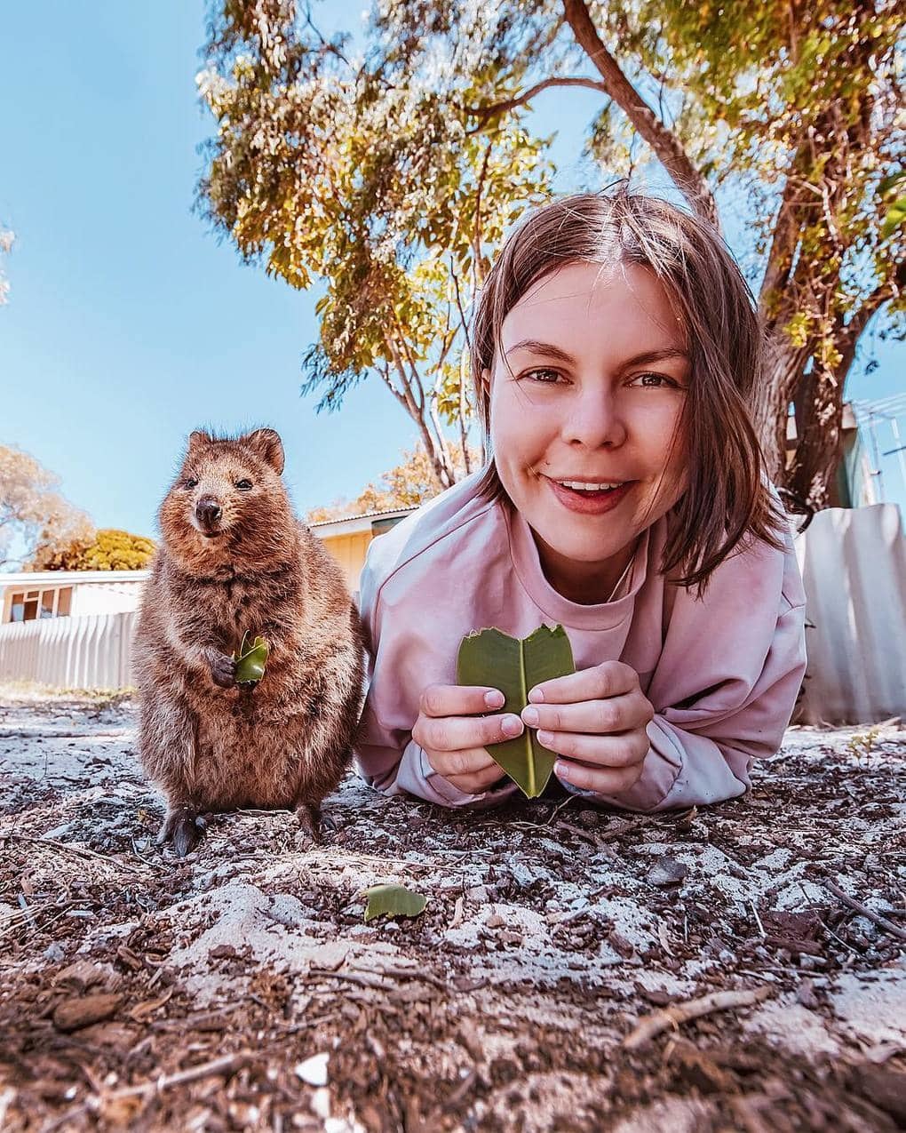 15 shots of cheerful quokkas from a photographer from Moscow who flew to Australia just for them - Quokka, Australia, Longpost, Animals