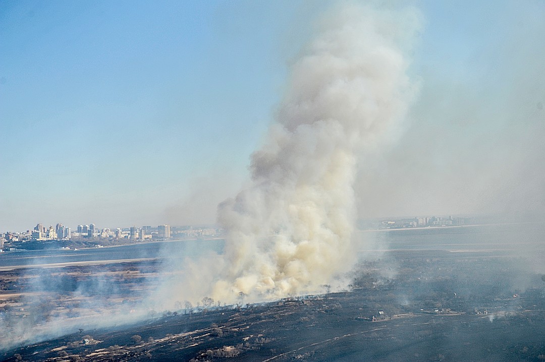 What do sparrows sing about on the last day of winter? - My, Khabarovsk, Smoke, Fire, Дальний Восток, Longpost