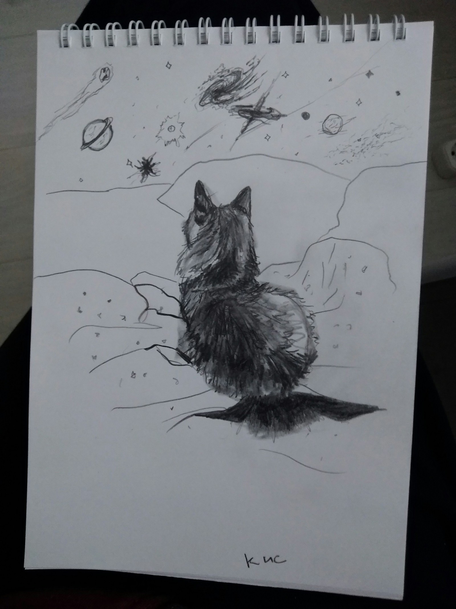 Cats, there is no one else to ask for adequate criticism, help out: 3 How do you like it?) - My, League of Artists, Drawing, cat, Pencil drawing, Pencil, Longpost