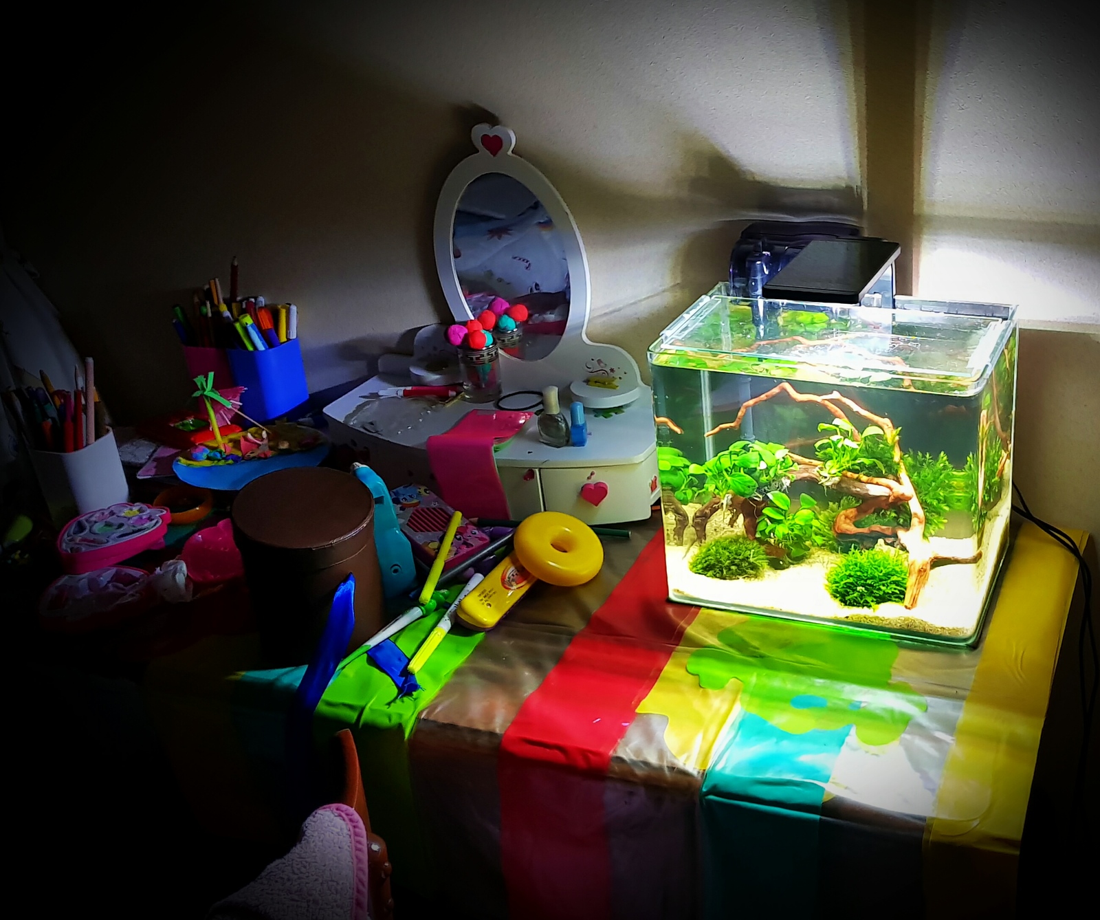 How to make a desktop aquarium, care for it and a bit of biology... - My, Aquarium fish, Aquarium, Aquarium, Longpost
