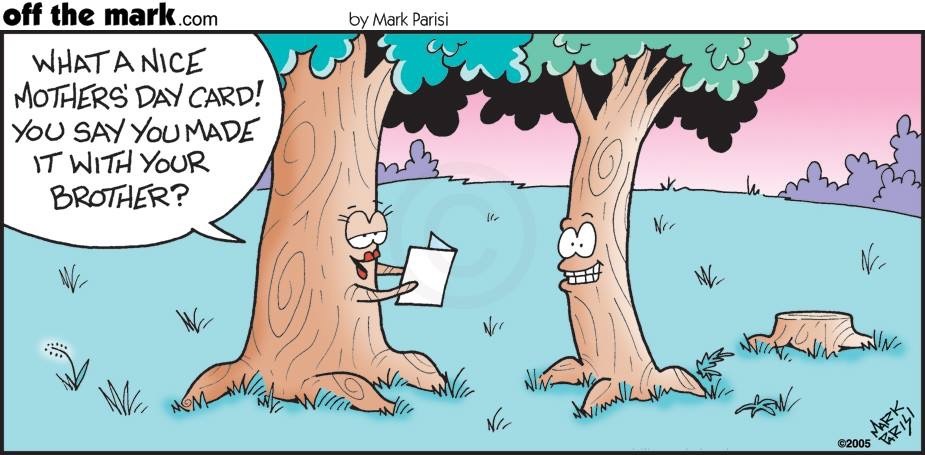 Tree comics: sorry brother - Offthemark, Comics, Tree, Postcard, Brother