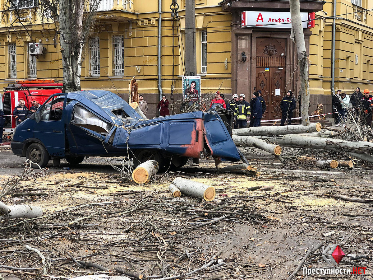 В Николаеве тополь упал на газель | Пикабу