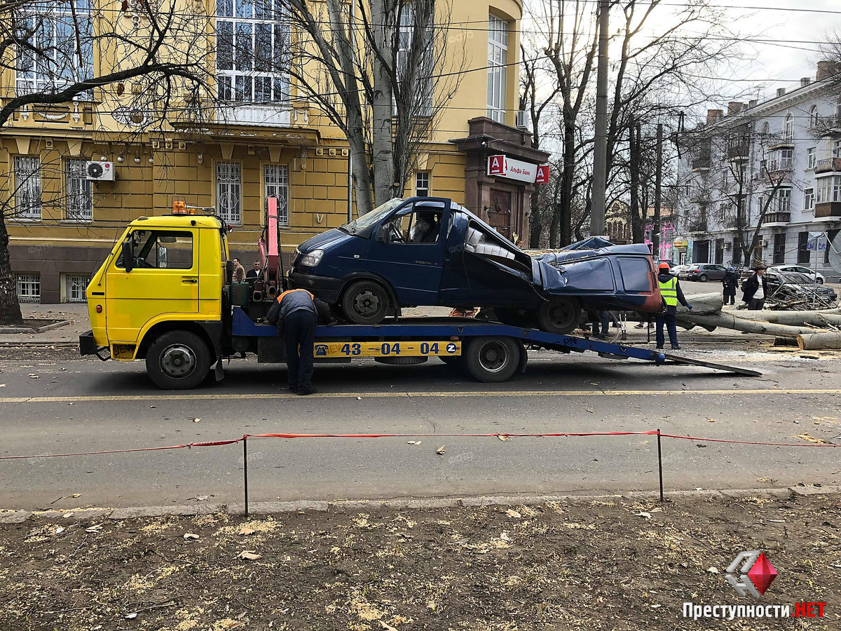 В Николаеве тополь упал на газель | Пикабу