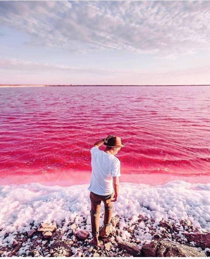 Pink Lake Maharlu Iran - Iran, Lake, The photo