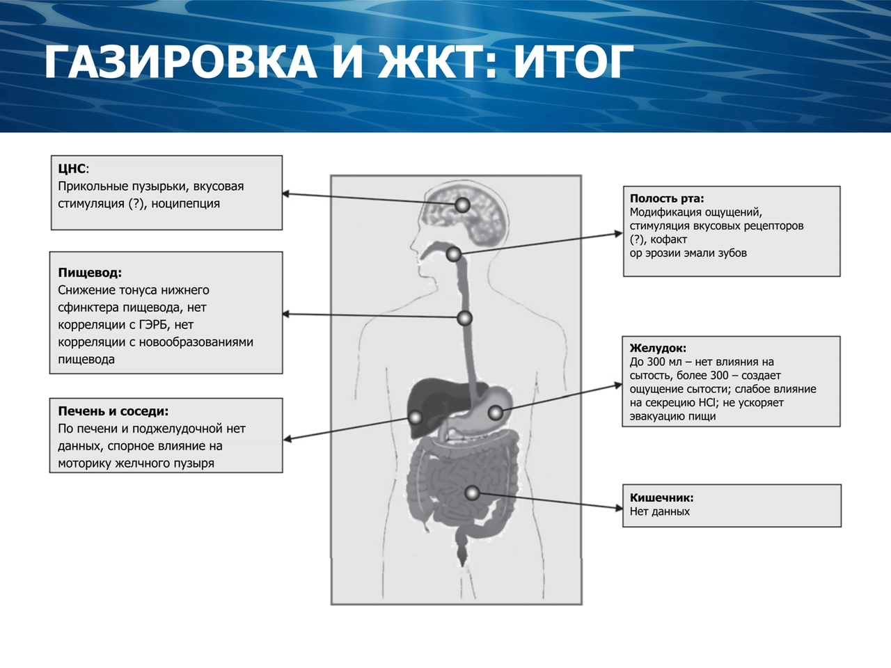 Charging water with the power of thought: the terrible truth about dihydrogen monoxide. Part 2 - My, Anthropogenesis ru, Scientists against myths, Water, Alexey Vodovozov, Longpost