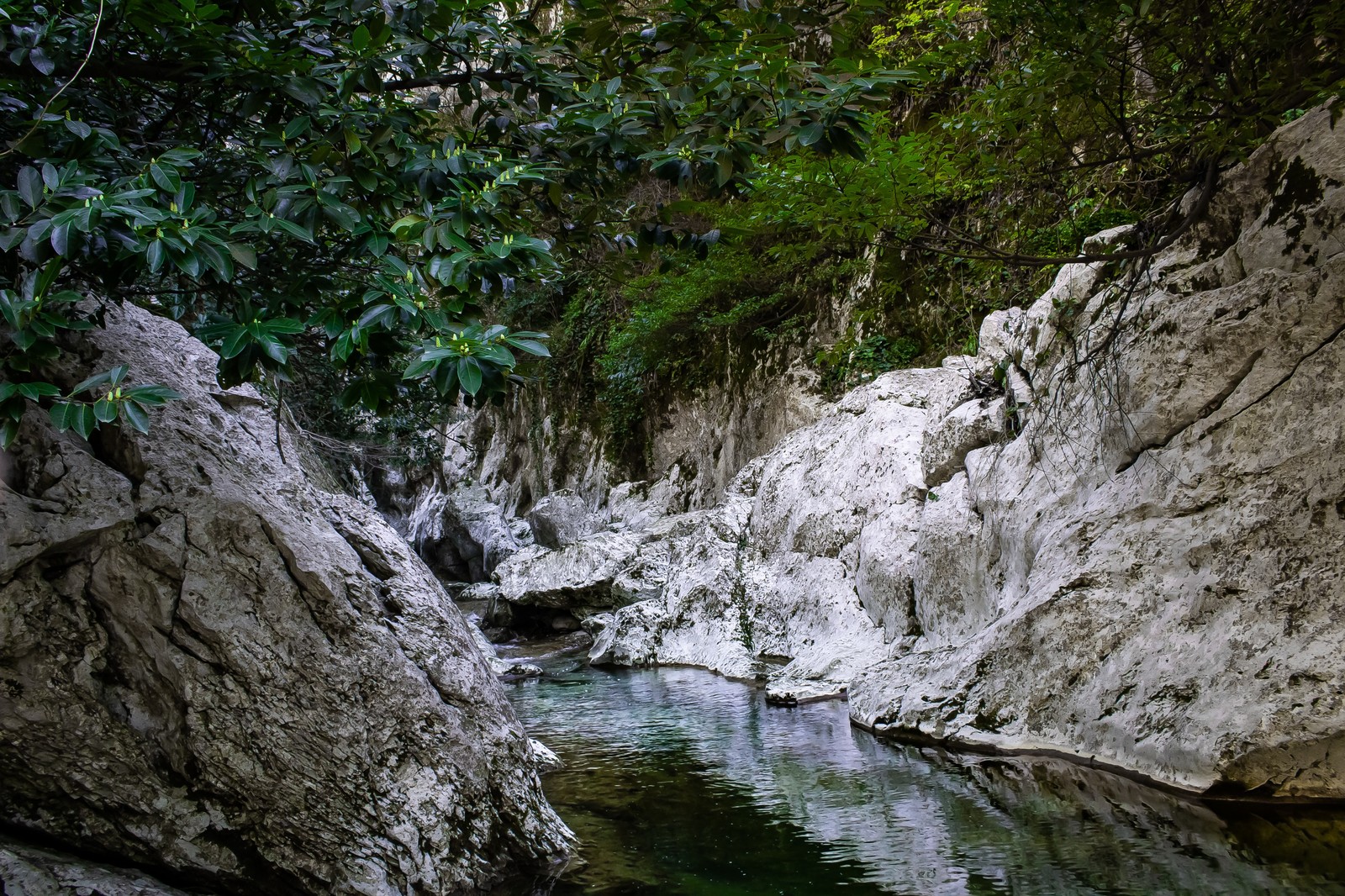 Agur Gorge. - My, Sochi, Nature, beauty of nature, Vacation, Longpost