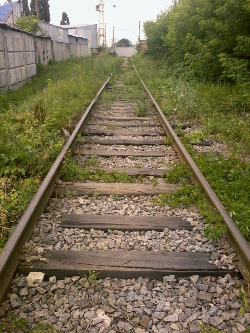 forgotten road - My, Mobile photography, Devastation, Longpost